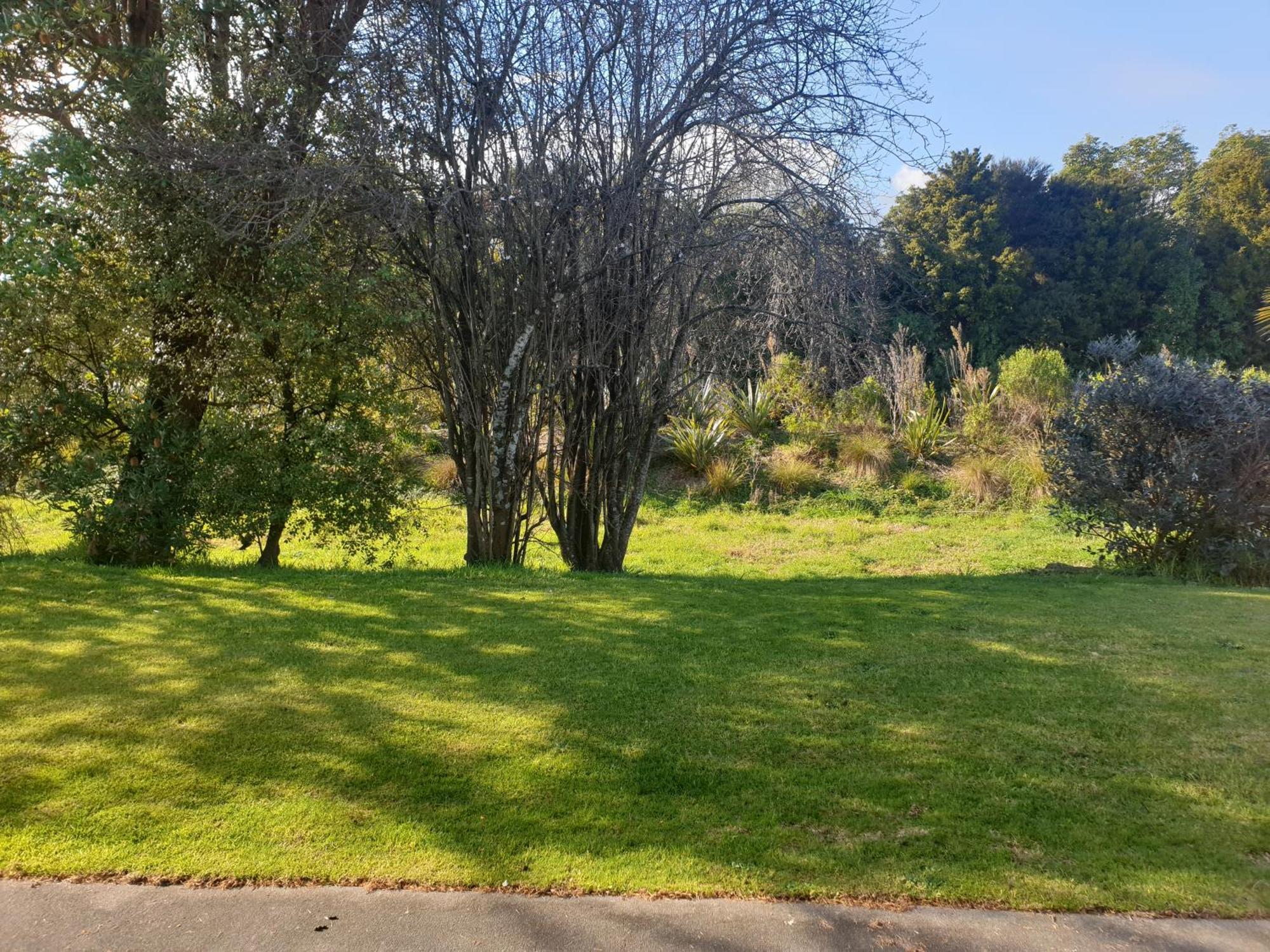 Otaki Motel Oda fotoğraf